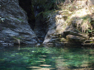 Le Rodet - ruisseau du Mas Arbousses