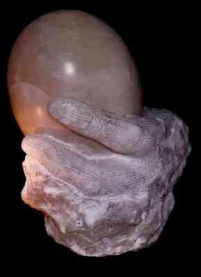 Naissance