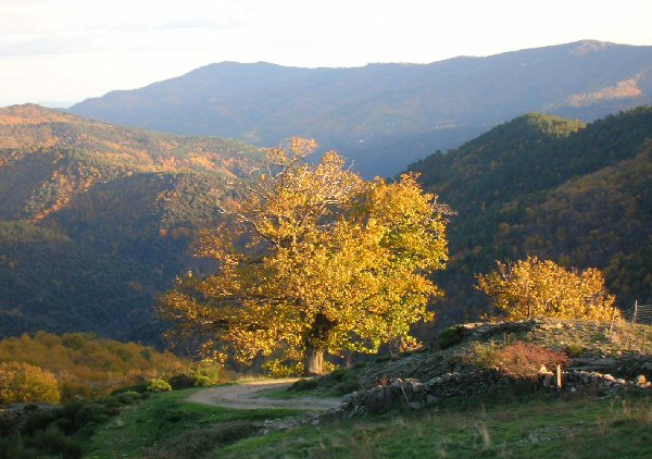 Paysage de Vimbouches en automne