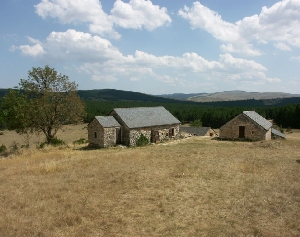 groeps accomodatie op de causse mejean boven de Gorges du Tarn