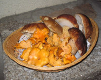 champignons