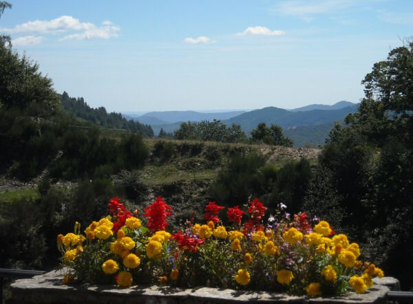 Vue de la terrasse 