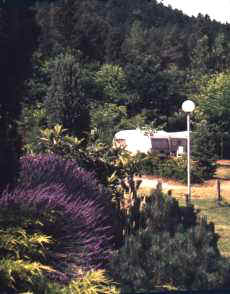 Camping la Foret  St Jean du Gard au coeur des Cvennes