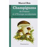 champignons france