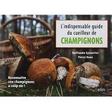 champigons cevennes2