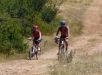 Mountain bike trails in the Causses Cévennes territory.