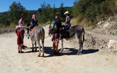 Randonner avec unn âne en Cévennes